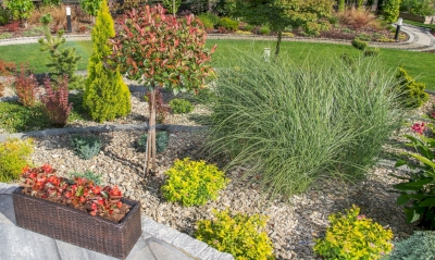 Le fleurissement sobre en eau