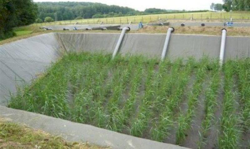 Fonctionnement et entretien des filières par filtres plantés de roseaux Fonctionnement et entretien des filières par filtres plantés de roseaux