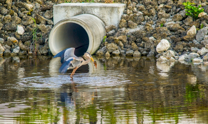 Sensibilisation aux traitements des eaux industrielles